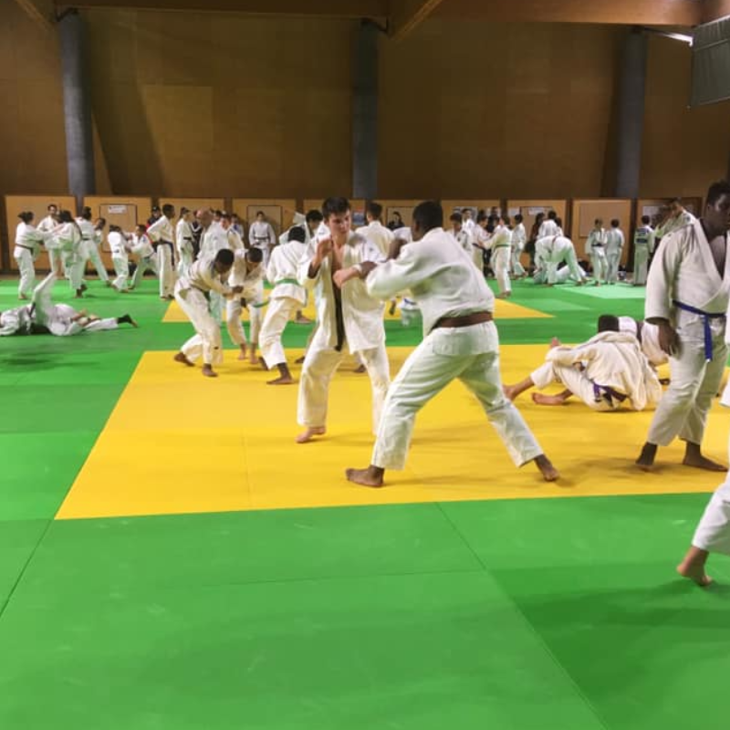 Une saison riche en progression pour l’USRO Judo