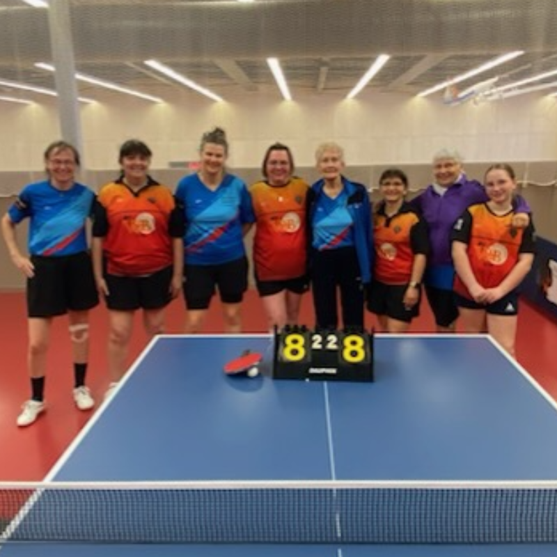 Comment choisir la bonne raquette de ping-pong